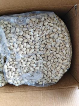 Blanched Peanuts from Junan blanched peanuts processing company Blanched Peanuts - Junan blanched peanuts processing company - China