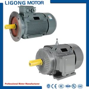 3 Phase Asynchronous Motor Suitable for Complete Replacement of Electric Motors of Other Manufacturers - Zhejiang Ligong Motor Co., Ltd. - China