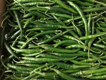 Fresh Green Chilli - NUTRIDIET LDA - United Kingdom
