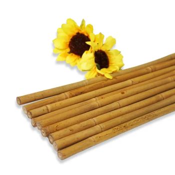 Wholesale Custom Bamboo Raw Materials Tonkin Bamboo Stakes Bamboo Poles Garden Canes for Flower and Plant Support Garden Decoration - Huaiji Junming Gardening Supply Ltd. - China