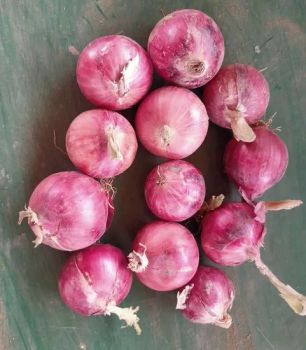 2024 New Crop Chinese Red Onion Yellow Onion Color Red Type Whole Size 5-7cm Shape Round Origin China Model NO. Onion HS Code - Laiwu Manhing Vegetables Fruits Corporation - China