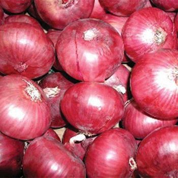 Fresh Red Onion Exporters Quality You Can Trust! – product photo, Dried Red Onion products found from trusted suppliers, wholesalers, manufacturers & exporters Listing
