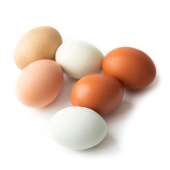 Table Fresh Chicken Eggs Wholesale Fresh Farm Fresh Chicken Table Eggs  - NUTRIDIET LDA - United Kingdom