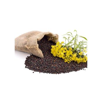 Affordable rapeseed wholesale ideal for agriculture and oil processing - MASI TRADING GMBH - Germany