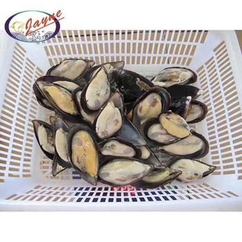 Manufacturers wholesale high quality frozen new zealand greenshell mussel frozen half shell green mussel - Zhoushan Yunyi Trading Limited - China