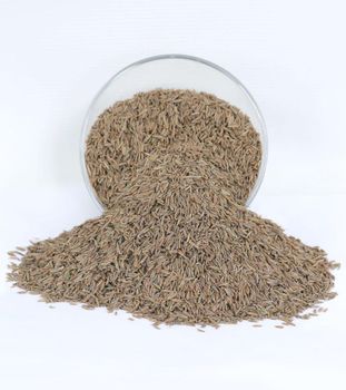 caraway seeds Origin Egypt Form Whole Seeds Delivery Form Bag Features Without Additives Container Size 20 Ft, 40 Ft Container Weight 17 Tons, 28 - ALGAWHARA HERBS & SPICES - Egypt