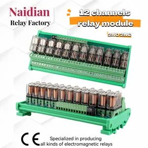 12 Channels Relay Module 24V PLC Ndgkl-12 Industrial Used 2no 2nc Relay - Naidian Group Co., Ltd. - China