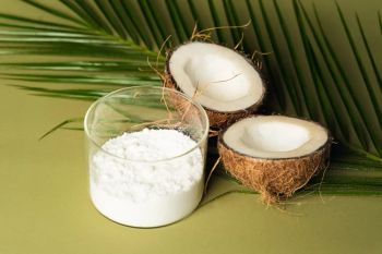 COCONUT MILK POWDER - VENKATESHWARA HATCHERIES PVT LTD - India