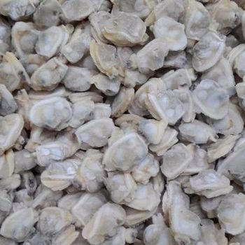 high quality frozen clam meat Style FROZEN Weight (kg) 10 Type SHELLFISH Packaging Bulk Brand Name woos Shelf Life 24 - food master - China