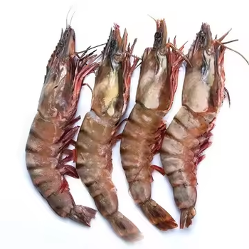 Fresh Shrimps Available Type Shrimp Style Fresh Content food Address London Weight (kg) 0.4 Manufacturer OEM Specification - SOLOWRLD LIMITED - Global