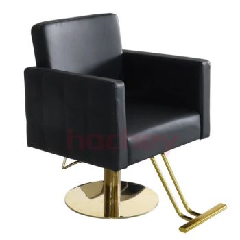 Hochey Medical Wholesale Custom Modern Fashion Other Hair Salon Furniture Salon Chair Barber Chairs - HOCHEY MEDICAL CO., LTD. - China