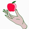 Product - FRESHFARMFRUITS LTD - United Kingdom