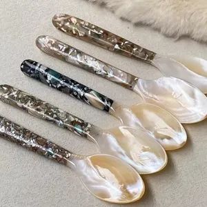 Exquisite Pearl Shell Moonlight Spoon for Western Cuisine Origin China Feature Retro Specification OEM HS Code 8215990000 - Feiya Group Co., Limited - China