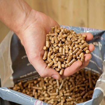 Premium Heating Fuel Supplier Offers Din Plus Wood Pellets Made From Selected Timber Sources For Industrial - malter group - Tanzania