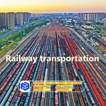 Pinduoduo/1688 China Online Shopping Freight Agent Company to Belgium Door to Door Air Freight Sea Shipping Trucking Transport Railway - Shenzhen Feiba International Freight Forwarding Co., Ltd. - China
