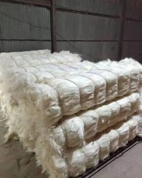 Sisal Fiber - tamim agro limited - Tanzania