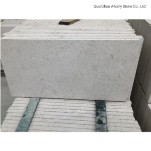 Construction Material Floor and Wall Tile Limestone Slabs for Outdoor Paving - Quanzhou Allonly Stone Co., Ltd. - China