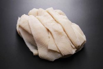 Factory Direct Wholesale Beef Omasum Premium Bulk For Retail Packing And Meat Processing from N.G westen holding B.V Factory Direct Wholesale Beef Omasum Premium Bulk For Retail Packing And Meat Processing - N.G westen holding B.V - Netherlands