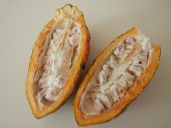 Cacao XP - UHTCO Corporation GmbH - Austria