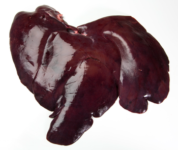 High Quality Frozen Pork Liver Prepared For Global Food Distributors Catering Businesses And Frozen Meat Importers - TRADECENTRIC LLC - United States