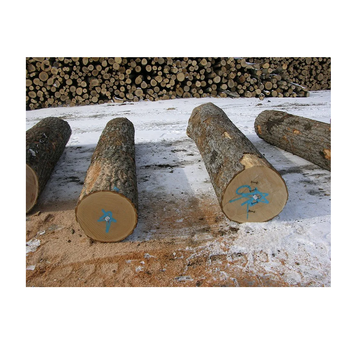 Fresh Cut Red Oak Logs - Wholesale Prices for Bulk Orders from Exigentelaxia Unipessoal Lda Fresh Cut Red Oak Logs - Wholesale Prices for Bulk Orders - Exigentelaxia Unipessoal Lda - Portugal