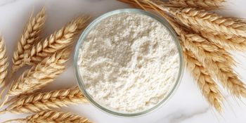 Organic Wheat Flour Organic Yes Packaging Size > 10 kg to 25 kg - Rudra Impex - India