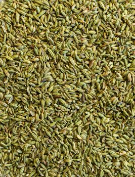 Fennel Seeds (Saunf) - Honest Origin Good Foodstuff Trading LLC - United Arab Emirates
