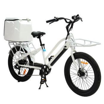 250W 36V Electric Delivery Bike Cargo Bike Electric Food Delivery Ebike - Luohe Viltis Trading Co., Ltd. - China