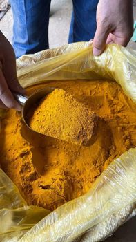 turmeric, nature turmeric powder,spices cloves, cardamom, cinnamon - PT. HECHEN JAYA ABADI - Indonesia