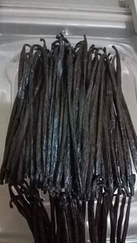 Vanilla Grade A Place of Origin Indonesia Shelf Life Long Shelf Life Application Gourmet Chefs And Food Artisans Sourcing Method Sustainable And Eco-friendly Farms - Pt ragil jaya mandiri project - Indonesia