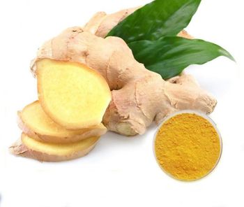 Ginger Powder Color Creamy Yellow Texture Free-flowing Powder Packaging Stand-up pouch with Kraft paper look Application Easy Addition To Instant Food Products - Forwintech - China