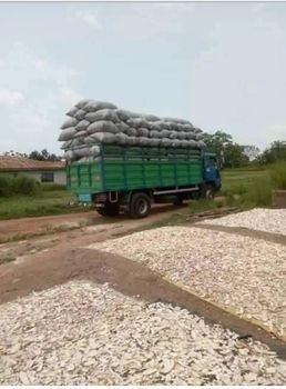 Cassava chips Packaging Jute - Niagro Global Investment LLP  - Nigeria