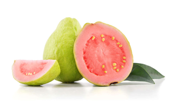 High quality guava bulk supply factory price fast delivery Organic Yes Color Vibrant Green Texture Optimal Texture Features Fair Trade, Organic - Mundus Exports Pty Ltd - South Africa