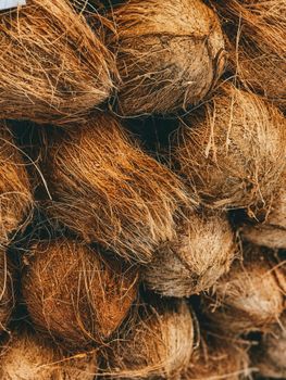 Semi Husked Coconut Brix Level 6% Packing Material Pp Bag Size Uniformity Uniform In Size Variety Genjah Entog (entog - Senandika Berkah Sentosa - Indonesia
