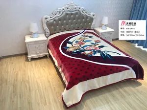 2022 China Manufactory Throw Blankets New Design Silky Soft Warm Mink Korean Blankets Raschel Minky Thermal Blankets Bedspread - Zhejiang Truelove Fashion Home Textile Co., Ltd. - China