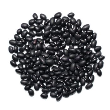Export Quality Dried Black Bean Bulk Black Bean Provided With Secure Packaging And Fast Shipping Worldwide - AGRO AFRIQUE COMPANY LIMITED - Tanzania