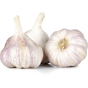 International Importers Choose Normal White Garlic Packed Fresh For Bulk Orders With Trusted Export - malter group - Tanzania