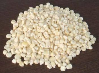 white maize - Zabs Holdings - South Africa
