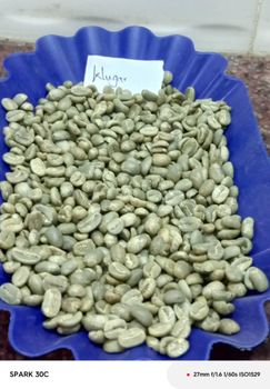 Coffee beans – product photo, Geisha Coffee Beans products found from trusted suppliers, wholesalers, manufacturers & exporters Listing