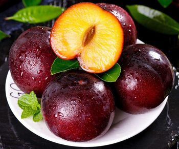 Fresh Plums Premium Harvest Selection For International Fruit Buyers Delivering Natural Sweetness And Uniform Quality - TOSOH INTERNATIONAL - South Africa