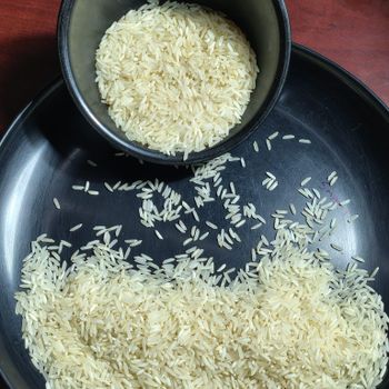 PR11 Steam Rice - Geo360 Agro Industries Pvt. Ltd - India