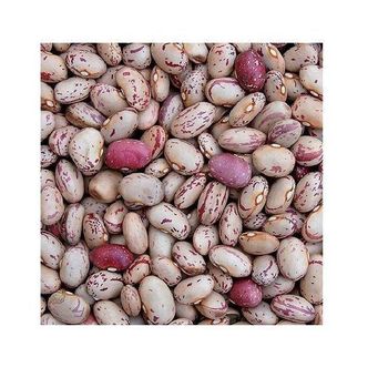 Light Red Kidney Beans, Sugar Beans, Pinto Beans, and Black Eye Beans -  DAEWKAEW PANTAMANG Co., Ltd - Thailand