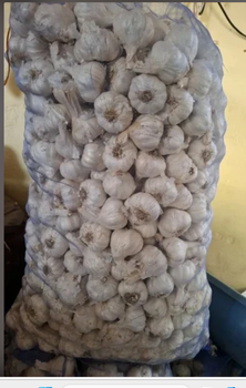 GARLIC - ARYAN INTERNATIONAL - India