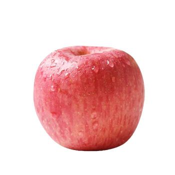 New crop of fresh red fuji apple fruit red star apple and red delicious apples fresh price for wholesale - Shandong Sinofarm Food Co., Ltd. - China