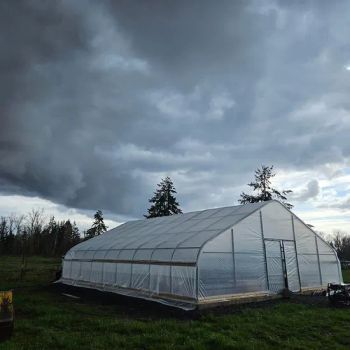 Agg High Tensile Strength UV Resistant Plastic Film Vegetable Greenhouse Plastic Greenhouse Covering Film Tunnel Greenhouse Single Span Greenhouse - Anhui Tpack Import&Export Co., Ltd - China