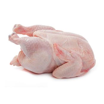 Fresh Frozen Chicken Whole and Parts Premium Top Quality For Sale Halal Frozen whole chicken Clean Whole Frozen Chicken - MT Trading GmbH - Germany