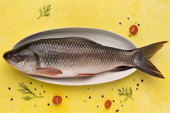 Sea food Grade Export Quality, A Grade, MPEDA Approved Packaging 1 Kg vacuum pack, 5 Kg master carton, Frozen at - Green Global Export - India