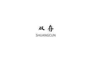 Product - Tianjin Shuangcun Craft Co., Ltd. - China