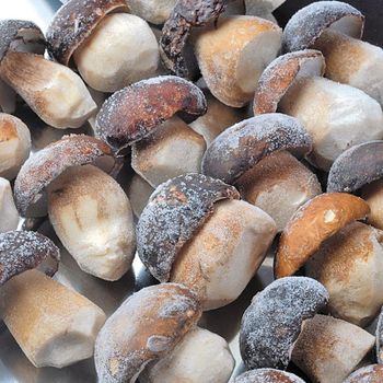 Detan Wild Boletus Edulis High Quality Yunnan Frozen Porcini Mushroom - Shanghai Detan Mushroom&Truffles Co., Ltd. - China