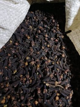 Cloves From Indonesian - PT LUSH CROPAGROTECH from PT LUSH CROP AGROTECH Cloves From Indonesian - PT LUSH CROPAGROTECH - PT LUSH CROP AGROTECH - Indonesia